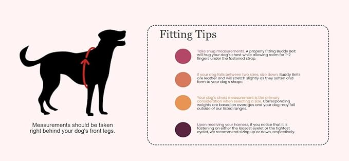 BUDDY BELT Harness Pebble Grain Hot Pink - Luxury Edition (3.5)