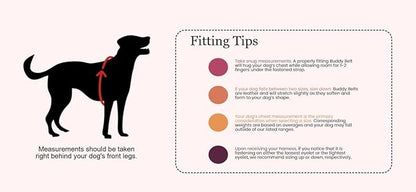 BUDDY BELT Harness Pebble Grain Hot Pink - Luxury Edition (3.5)