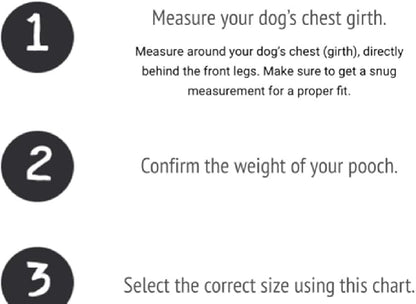 BUDDY BELT Harness Pebble Grain Caramel - Premium Edition (7)