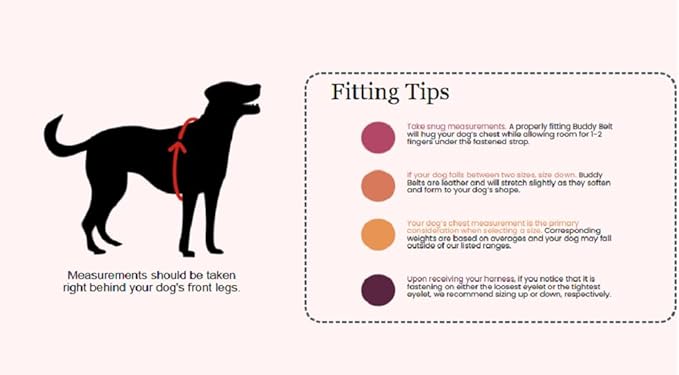 BUDDY BELT Harness Moonwalk - Luxury Edition (3.5)