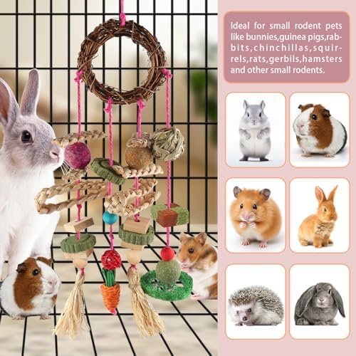 Rabbit & Guinea Pig Toys - Hamster & Bunny Toys - Natural Timothy Hay & Apple Wood Sticks - Chinchilla Teeth Care - Handmade Dream Catcher