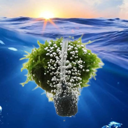 Air Stone Cylinder Bubble Diffuser Airstones for Aquarium 0.8/0.9inch Diffuser Release Tool for Nano Air Pumps Small Buckets and Fish Tanks