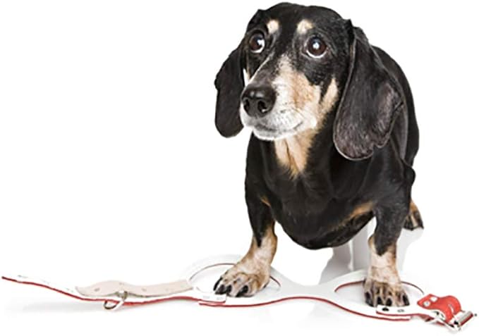 BUDDY BELT Harness Pebble Grain Black - Premium Edition (4)