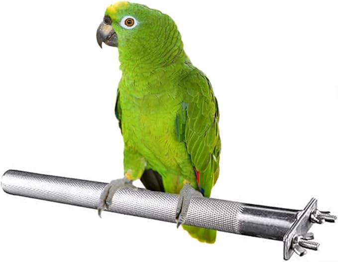 Bird Perch Stainless Steel Stand Parrot Rod Grinding Claws Trimming Beak Nails Grinding Stick Exercise Platform for Parakeet Cockatiel Conure African Grey Macaw Finch Bird Cage Accessories (L)