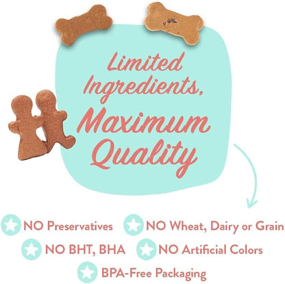 Portland Pet Food Company Healthy Dog Treats Vegan Variety Pack - Grain-Free, Human-Grade, Apple, Gingerbread, Pumpkin Treats - Natural Dog Training Treats & Biscuits Made in The USA Only - 3-Pack