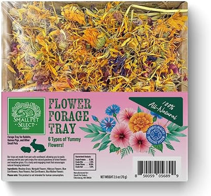 Small Pet Select Forage Tray Bundle, 3 Pack of Foraging Trays for Rabbit, Guinea Pig, Hamster or Bunny - Natural Treats, Dandelion, Flower, Herb Mix 2.5oz Each