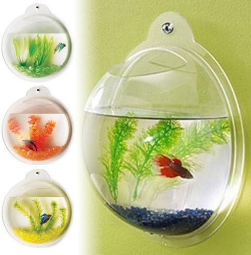 Fish Bubble - Deluxe Acrylic Wall Mounted Fish Tank