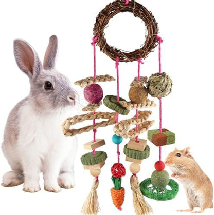 Rabbit & Guinea Pig Toys - Hamster & Bunny Toys - Natural Timothy Hay & Apple Wood Sticks - Chinchilla Teeth Care - Handmade Dream Catcher