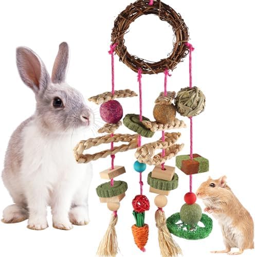 Rabbit & Guinea Pig Toys - Hamster & Bunny Toys - Natural Timothy Hay & Apple Wood Sticks - Chinchilla Teeth Care - Handmade Dream Catcher