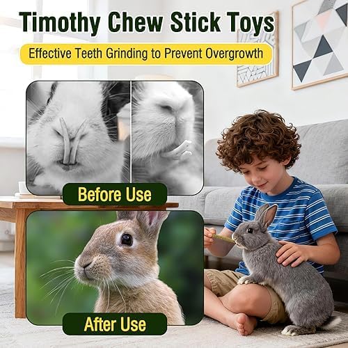 Rabbits Timothy Hay Chew Sticks Treats Toy 200g for Golden Hamsters-Guinea-Pigs-Small Animal Natural Healthy