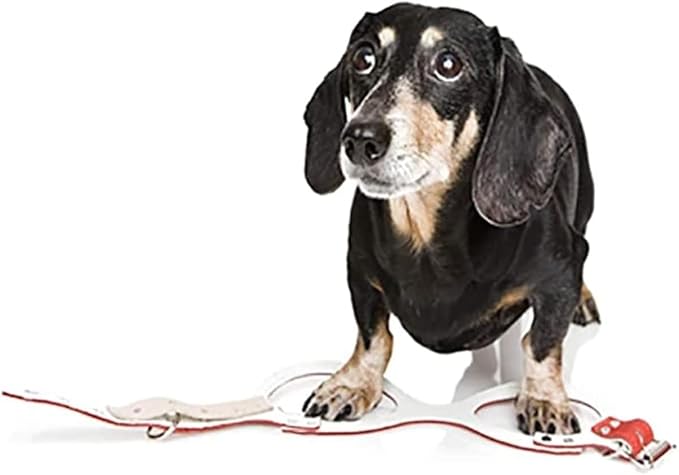 BUDDY BELT Harness Moonwalk - Luxury Edition (7)