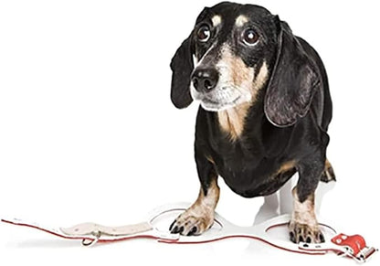 BUDDY BELT Harness Moonwalk - Luxury Edition (7)