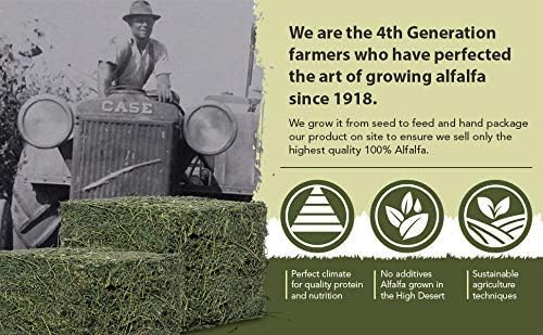 High Desert Alfalfa Hay, Protein Rich Soft Leaf Food for Young Growing Animals, Natural Rabbit Food and Guinea Pig Hay, Supports Digestive Health, Small Pet Supplies, Fresh Hand Packed 1 Lb Box