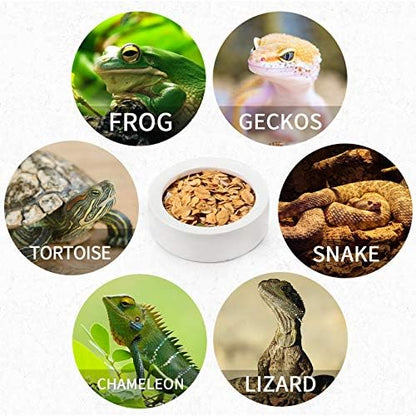 Meanplan 4 Pcs Reptile Bowl Food Dish 2.71 Inch Reptile Water Food Feeding Dish Ceramic Worm Pet Bowl Anti Escape Feeder for Lizard Anoles Chameleon Bearded Dragon Hermit Crab