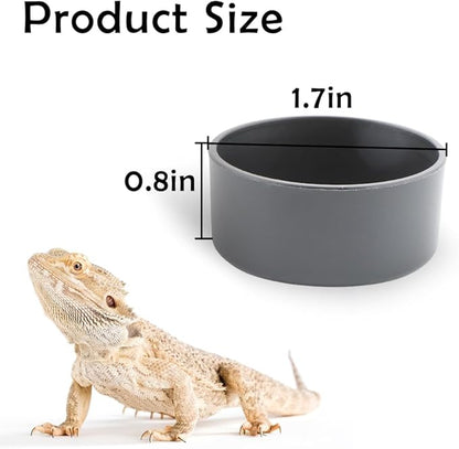 10 Pcs Small Reptile Water Bowl Food Dish Feeding Bowl for Spider Gecko Lizard Horned Frog Turtle Snake (Black)