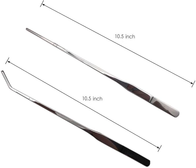 Reptile Feeding Tongs Stainless Steel Straight and Curved Tweezers Polished Long Handle Feeder Tools for Lizard Gecko Snake Spider Bird and Fish Aquariums,Silver