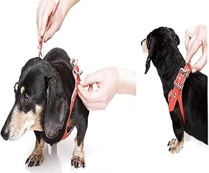 Buddy Belts Harness Pebble Grain Red - Premium Edition (5)