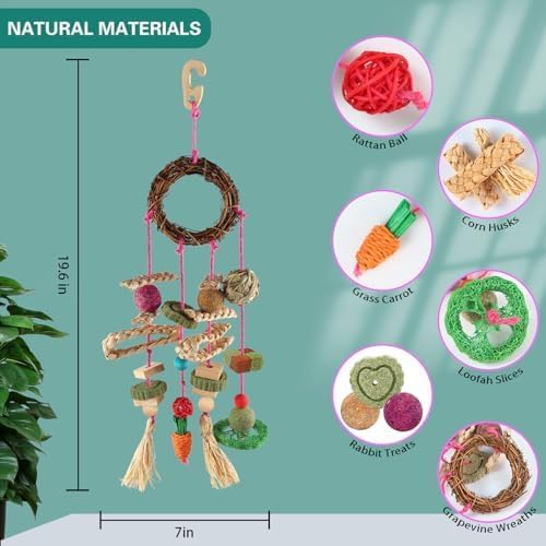 Rabbit & Guinea Pig Toys - Hamster & Bunny Toys - Natural Timothy Hay & Apple Wood Sticks - Chinchilla Teeth Care - Handmade Dream Catcher