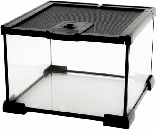 Mini Reptile Glass Terrarium Tank, cage for Tarantula Sling Geckos, Frog, Lizards, Chameleons,Turtles Snake Snail Insect Hermit Crab Isopods Reptiles Enclosure (7.9x7.9x5.7inch)