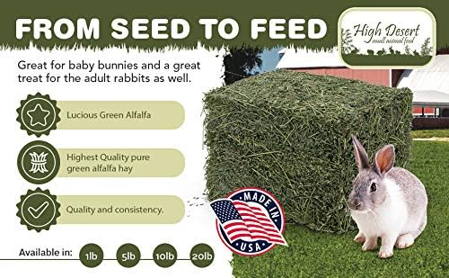 High Desert Alfalfa Hay, Protein Rich Soft Leaf Food for Young Growing Animals, Natural Rabbit Food and Guinea Pig Hay, Supports Digestive Health, Small Pet Supplies, Fresh Hand Packed 10 Lb Box