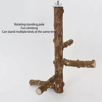Bird Perch Stand Toy, Natural Wood Parrot Perch Bird Cage Branch Perch Accessories for Parakeets Cockatiels Conures Finches Lovebirds (L)