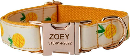 Custom Dog Collar with Names and Phone Number Engraved, Puppy Tags Personalized for Small Medium Large Pets