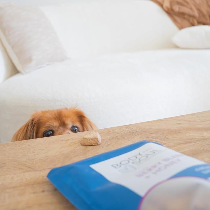 Body and Soul Superfood Dog Treats – 3 Pack Variety | Pumpkin + Leafy Greens, Peanut Butter + Apple, Berry Blend + Honey | Plant-Based Crunchy Biscuits with Ancient Grains | Made in USA