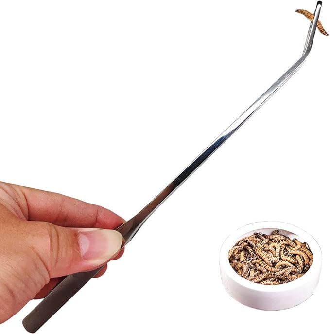 Reptile Feeding Tongs Stainless Steel Straight and Curved Tweezers Polished Long Handle Feeder Tools for Lizard Gecko Snake Spider Bird and Fish Aquariums,Silver