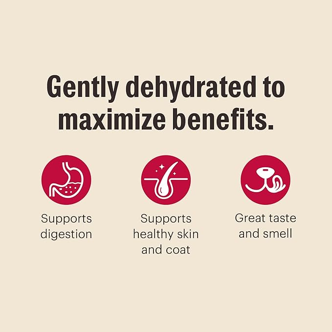 The Honest Kitchen Human Grade Wholemade™ Dehydrated Grain Free Turkey Dog Food - Complete & Balanced Meal or Topper - 2 lb Bag