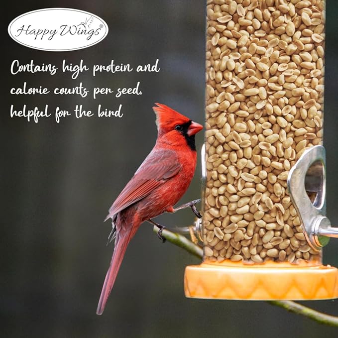 Shelled Peanuts Seeds Wild Bird Food - 5 Pounds I No Grow Seed I Bird Seed for Wild Birds