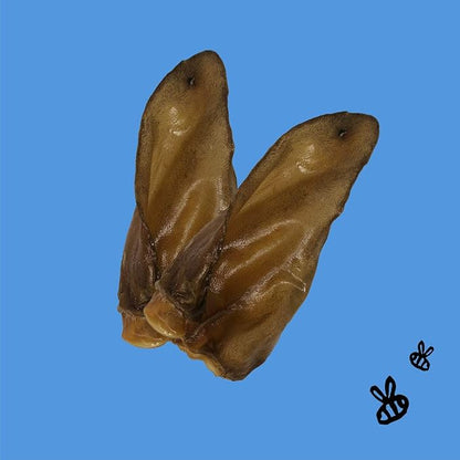 Honey I'm Home Buffalo Crunchy Ears Dog Chews, 4-Pack – Honey Coated, All-Natural, Free-Range, Grain-Free, Healthy & Crunchy Treats