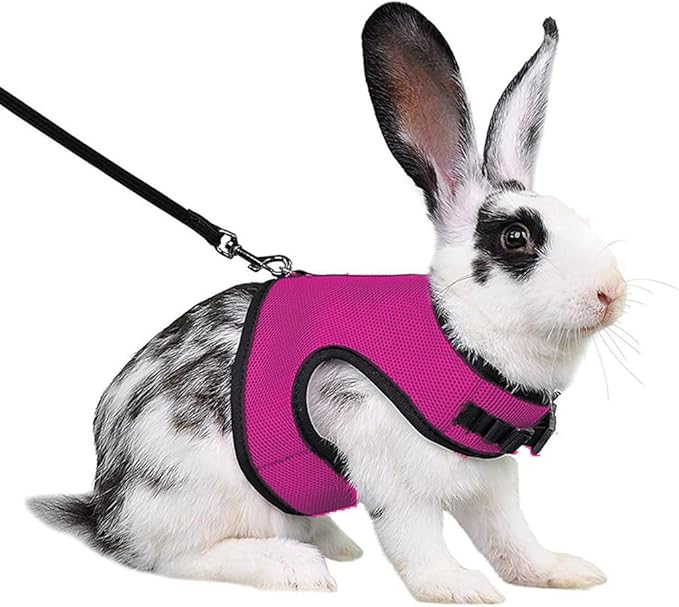 Ferret Harness,Guinea Pig Harness and Leash Set, Small Bunny Harness Vest Mesh Eescape Proof Walking Training for Young Rabbit Rat Hamster Squirrel Small Animal Pets Harness,Hot Pink M