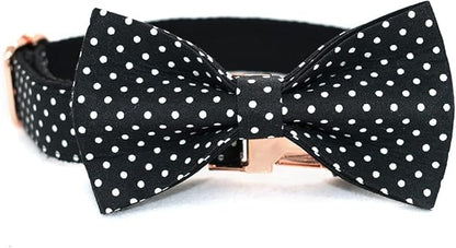 Custom Dog Collar with Names and Phone Number Engraved, Puppy Tags Personalized for Small Medium Large Pets