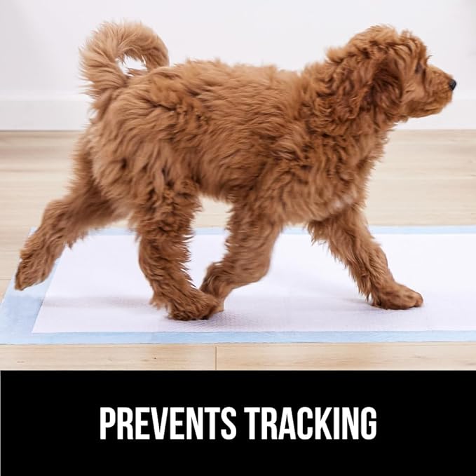 Gorilla Guard Disposable Puppy Pads, 100 Count 28x34 in, 5 Layer Pee Pads for Dogs, Absorbent Diaper Changing Pad, Dog Potty Training Supplies, Quick Dry Pet Housebreaking Essentials for Puppies