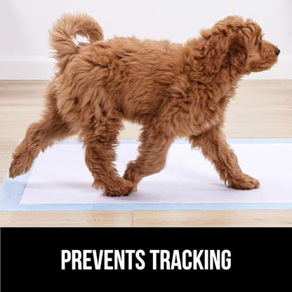 Gorilla Guard Disposable Puppy Pads, 150 Count 22x22 in, 5 Layer Pee Pads for Dogs, Absorbent Diaper Changing Pad, Dog Potty Training Supplies, Quick Dry Pet Housebreaking Essentials for Puppies