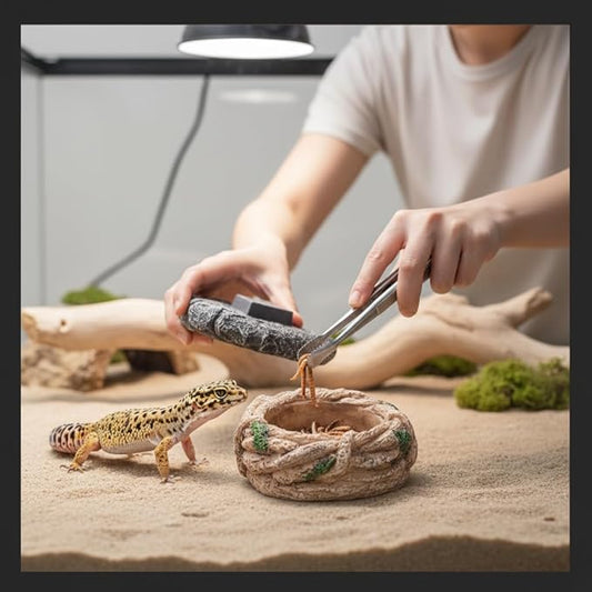 Magnetic Reptile Feeding Ledge, Gecko Feeder Ledge with One Piece Cup, Hollow Vine Food Dish, Reptile Water Bowl for Bearded Dragon Lizard Snake