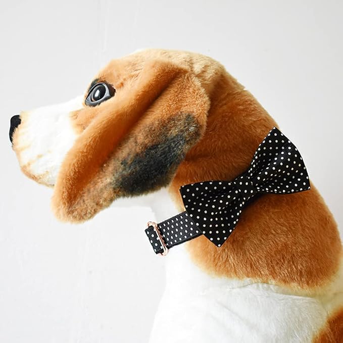 Custom Dog Collar with Names and Phone Number Engraved, Puppy Tags Personalized for Small Medium Large Pets