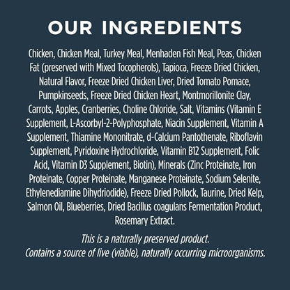 Instinct Raw Boost, Natural Dry Cat Food with Freeze Dried Pieces, High Protein, Grain Free Recipe - Real Chicken, 10 lb. Bag