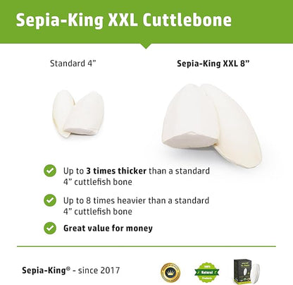 Extra Large - 100% Natural Calcium Supplement - Premium Cuttlebone Perfect for Birds, Tortoises, Snails, Reptiles - Pack of 3