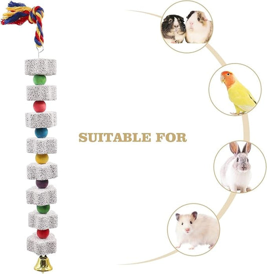 2 Pack Parrot Chewing Toys with Calcium Stone & Bells – Long-Lasting Bird Cage Accessories for Parakeets, Cockatiels, Budgies, Lovebirds, African Grey, Hamsters, Chinchillas & Rabbits