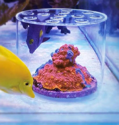 Acrylic Coral Feeder Cover Reef Feeding Breeding Protection Cover Avoid Corals Food Floating Around