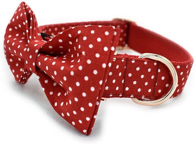 Custom Dog Collar with Names and Phone Number Engraved, Puppy Tags Personalized for Small Medium Large Pets