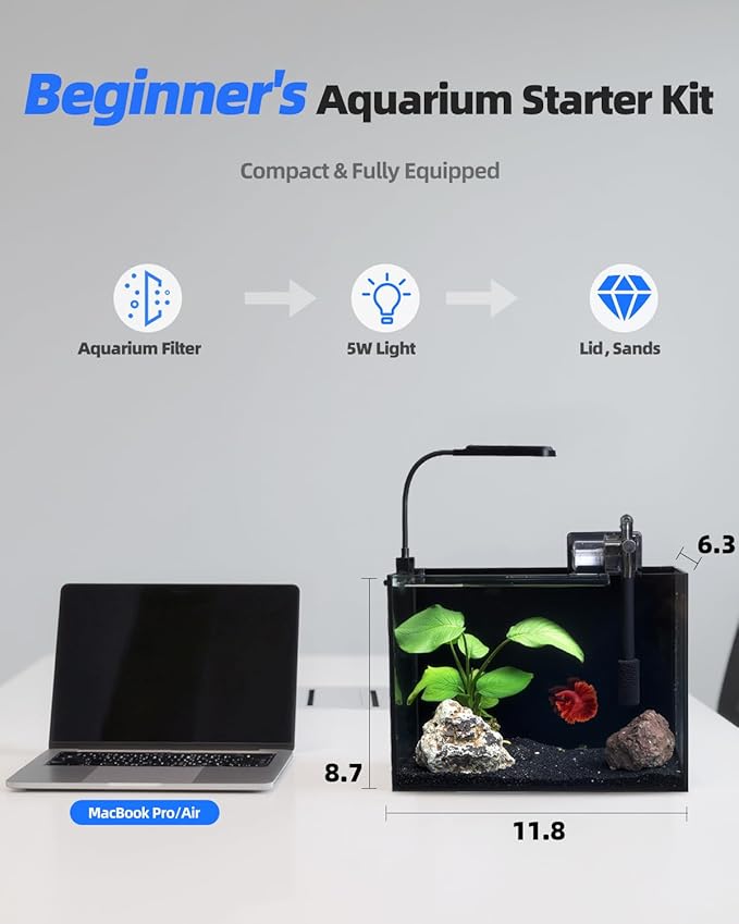 2.5 Gallon Glass Small Fish Tank Kit, Betta Fish Tank Aquarium Starter Kit with Filter, Lights, Lid, for Betta, Goldfish, Small Fish or Shrimp