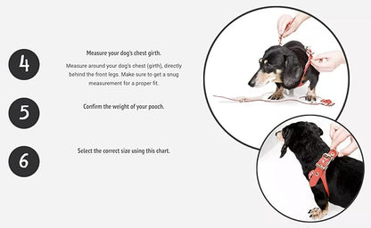 BUDDY BELT Harness Pebble Grain Hot Pink - Luxury Edition (3.5)