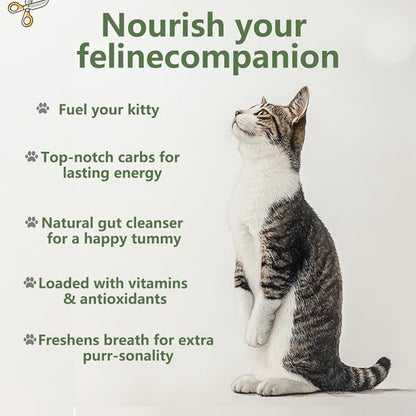 Cat Grass for Indoor Cats - Cat Grass Seeds Kit - Organic Cat Grass Growing Kit with High Germination Organic Wheat Seeds, Soil, and Planting Tools - Natural Hairball Control and Digestion Remedy