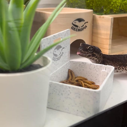 Geckopia Triple Dish 3.0 | 3 in 1 Reptile Bowl | Gecko & Reptile Calcium & Water Food Bowl | Mealworm Dish in BioPlastic | Wood
