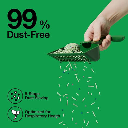 VETRESKA Tofu Cat Litter,Natural Kitty Litter Strong Clumping Flushable Cat Litter Pellets Ultra Absorbent,Odor Control,Dust-Free,Low Tracking Eco-Friendly Tofu Litter,Greentea(5.5lb×2bags)