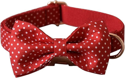 Custom Dog Collar with Names and Phone Number Engraved, Puppy Tags Personalized for Small Medium Large Pets