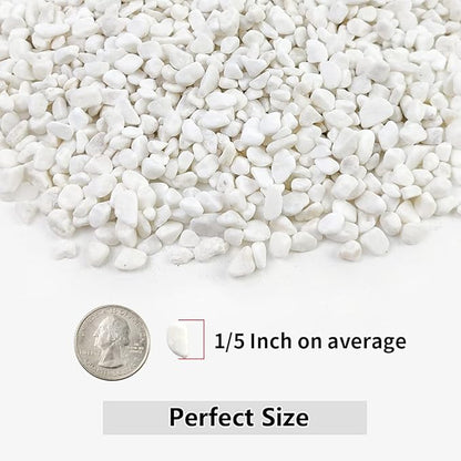 2LB Succulent and Cactus Gravel Pebbles, 1/5 Inch White Natural Decorative Polished Stones, River Rocks for Plants, Vases, Aquariums, Terrarium and Outdoor Gardening,White