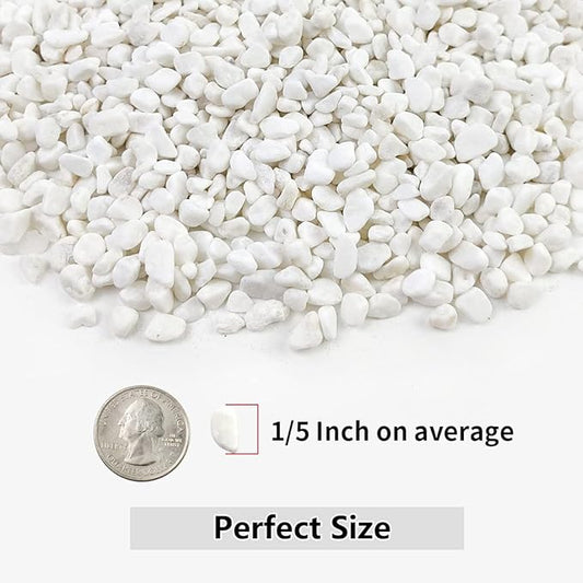 10LB Succulent and Cactus Gravel, 1/5 Inch White Natural Decorative Polished Pebbles for Landscaping, River Rocks for Plants, Vases, Aquariums, Terrarium and Outdoor Gardening